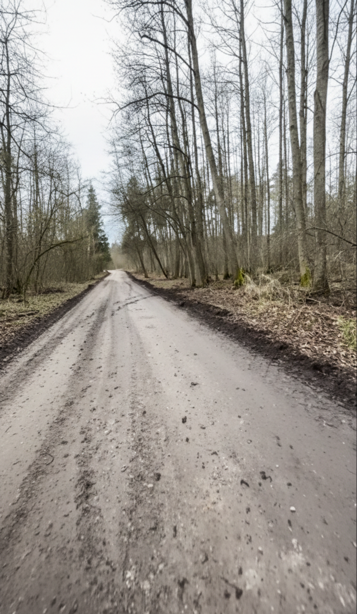 Kto zniszczył drogę? [FILM]
