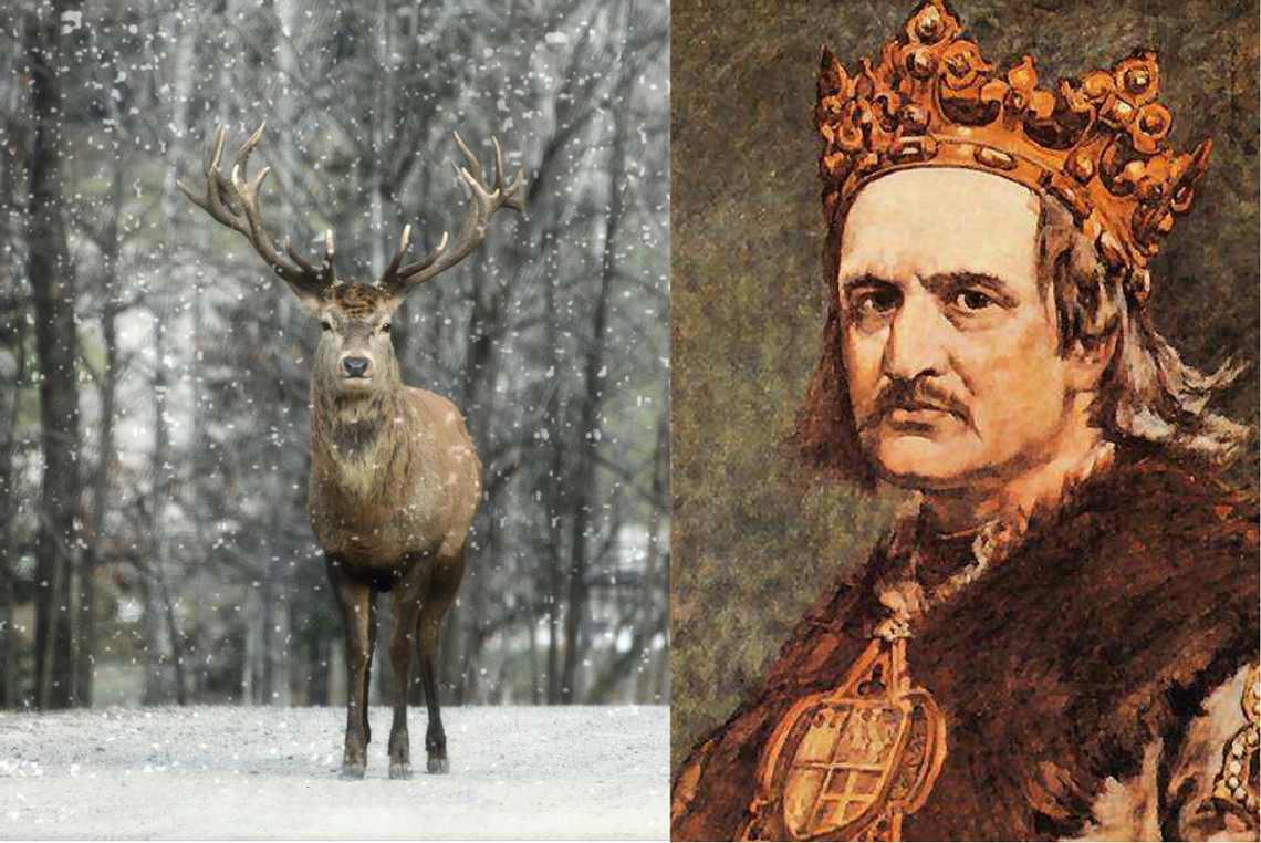 Legenda: O jeleniu, co drogę do miasta przyszłemu królowi Polski wskazał