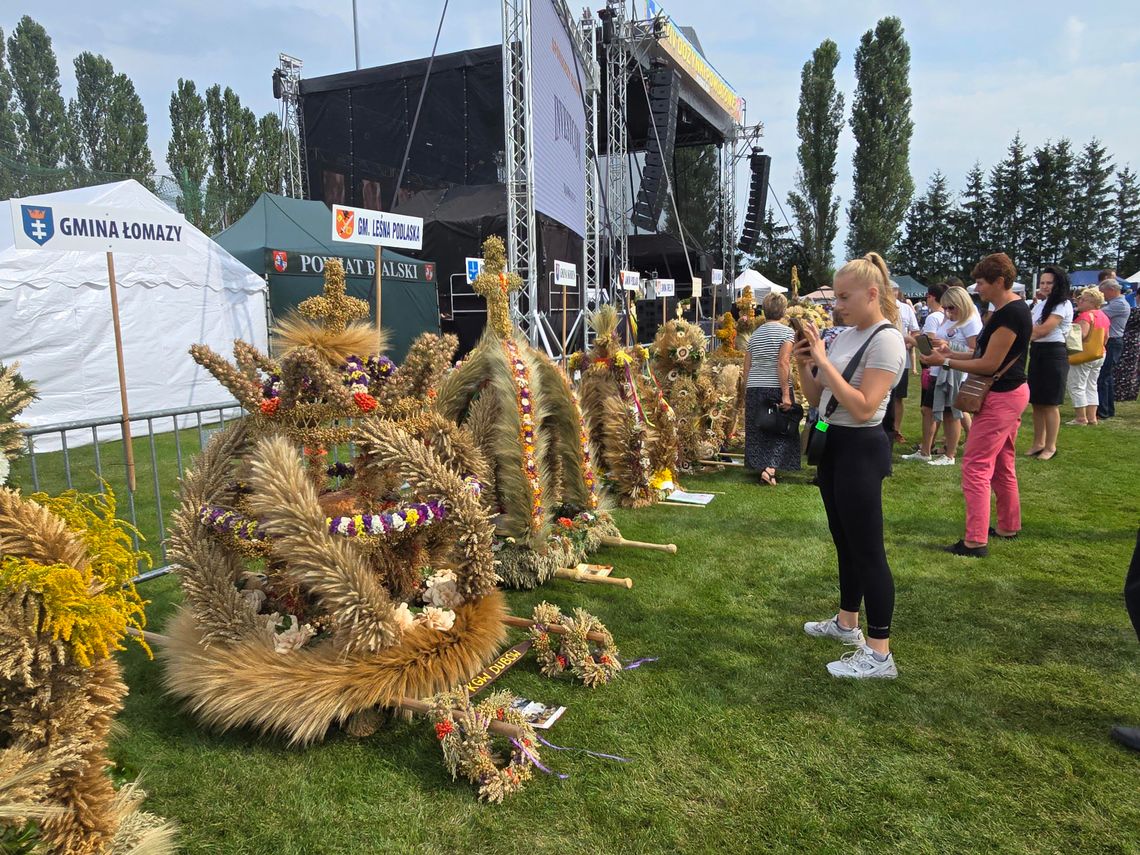 Leśna Podlaska. Na scenie zagra ENEJ