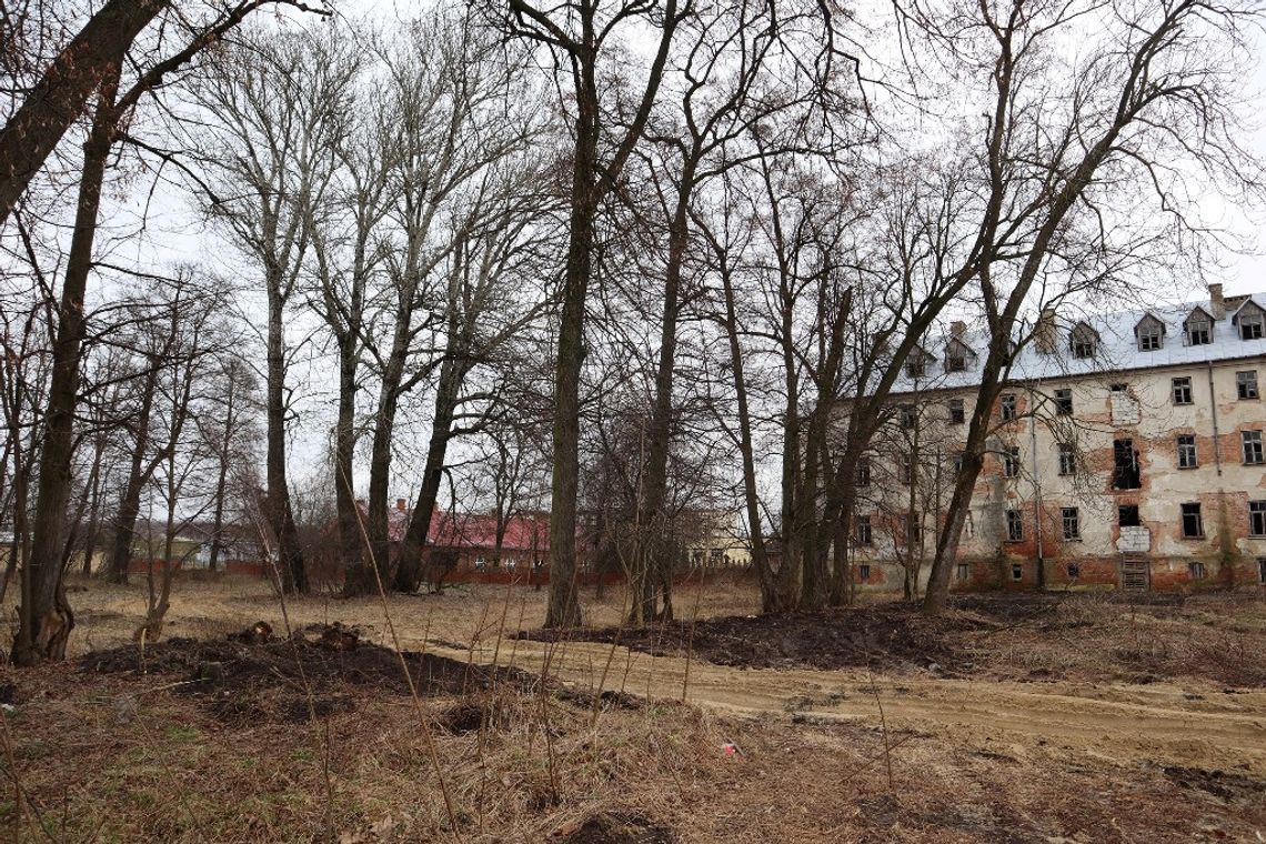 Leśniański park wpisano na listę zabytków, czas na rewitalizację