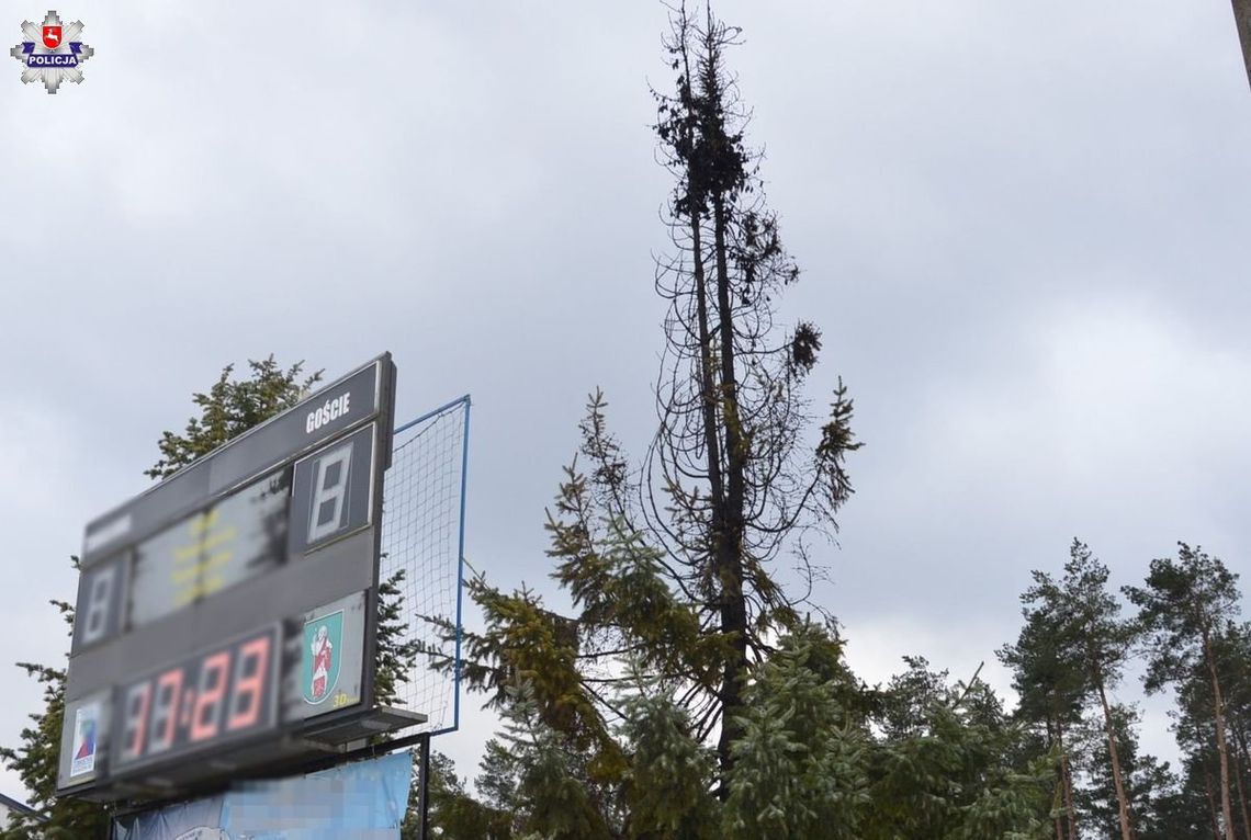 Lubelskie. Pierwszy dzień wiosny świętowali... podpalając drzewo