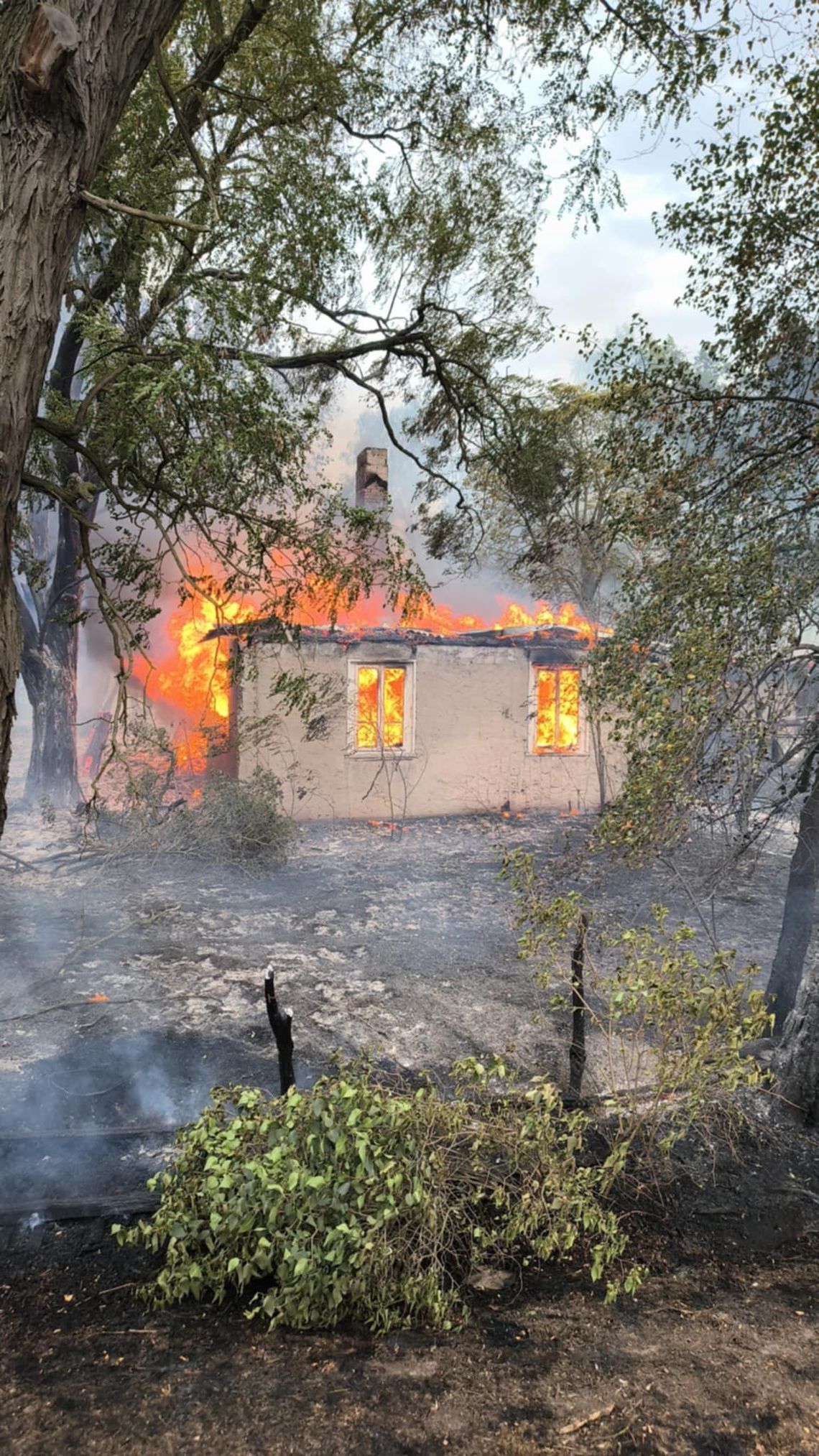 Lubelskie. Ponad 20 hektarów lasów w płomieniach [ZDJĘCIA]