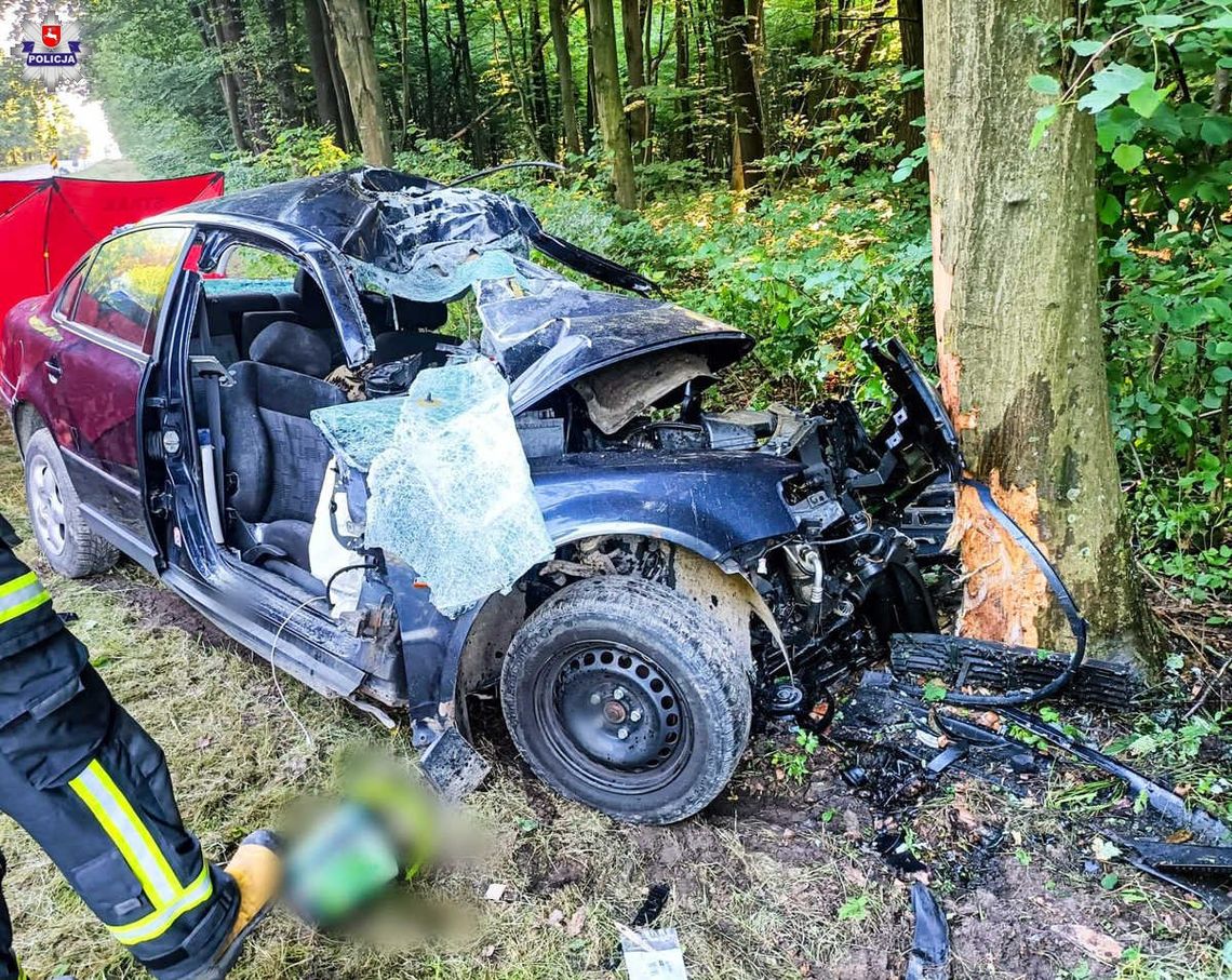 Lubelskie. Uderzył w drzewo. Zginął na miejscu!