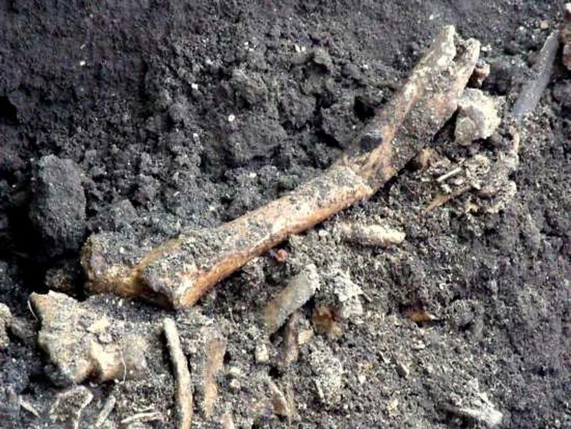 Ludzkie kości przy ulicy Warszawskiej