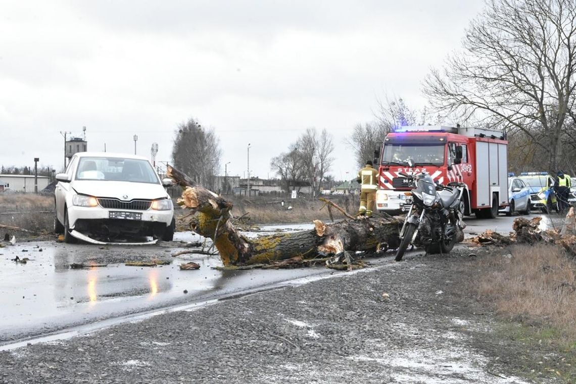 małaszewicze wypadek kłoda motorower skoda policja kmp biała podlaska