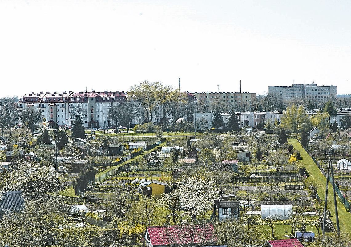 Mieszkania na wynajem w ramach SIM będą, ale miasto wciąż konsultuje temat