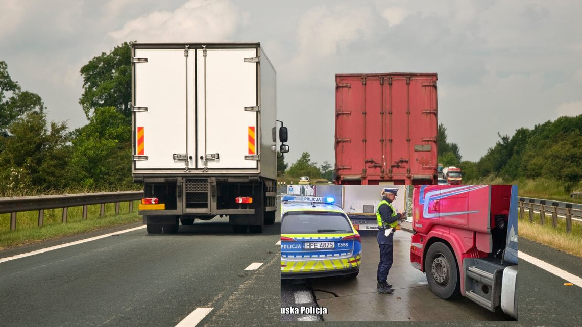 Na drogi wraca wyścig słoni. Ale tylko nocą Na drogi wraca wyścig słoni. Ale tylko nocą