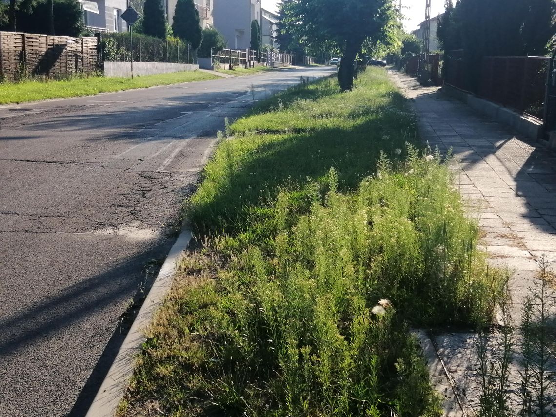 Na Twardej będzie nowy asfalt, chodniki i ścieżka rowerowa