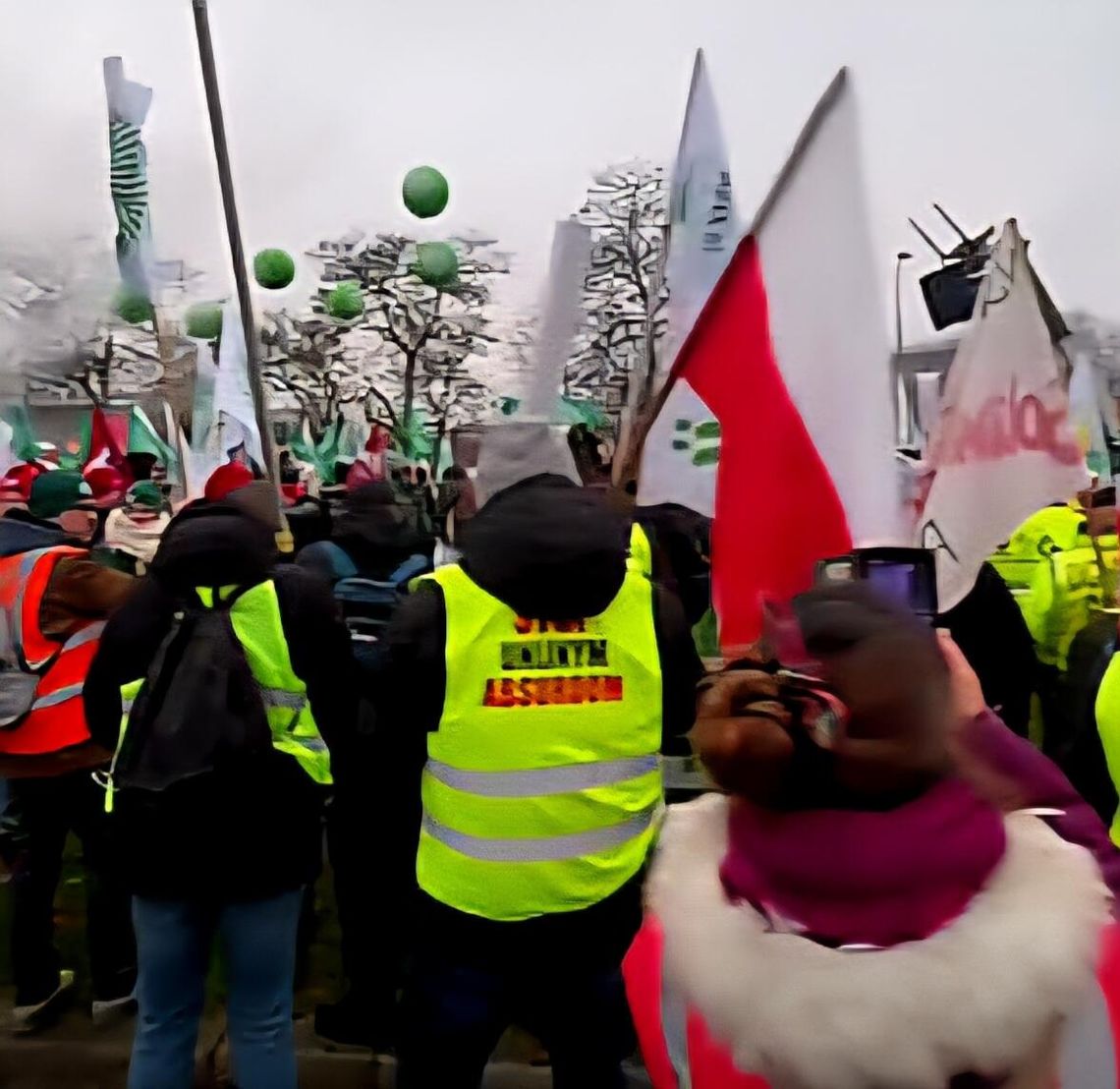Nasi rolnicy protestowali w Strasburgu. Umowa z Mercosur trafi do TSUE! Nasi rolnicy protestowali w Strasburgu. Umowa z Mercosur trafi do TSUE!