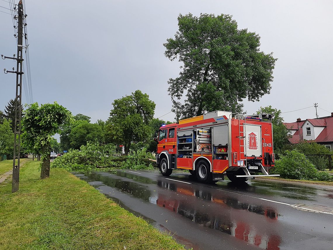 Nawałnica nad Białą Podlaską. Burza powalała drzewa, zrywała dachy i bocianie gniazda