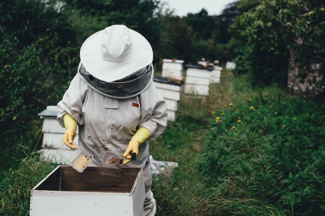 Pszczelarze mówią o zagrożeniach dla nadbużańskich pasiek