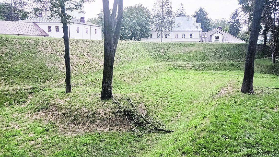 Niebezpieczne konary w Parku Radziwiłłowskim czekają na wycięcie