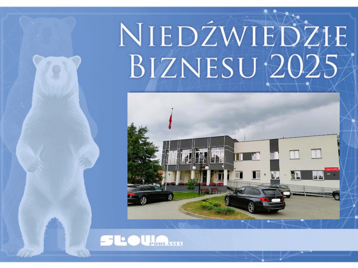 Niedźwiedzie Biznesu 2025, Gmina Sosnówka - Remont Urzędu Gminy [Kategoria: PRZYJAZNA GMINA]