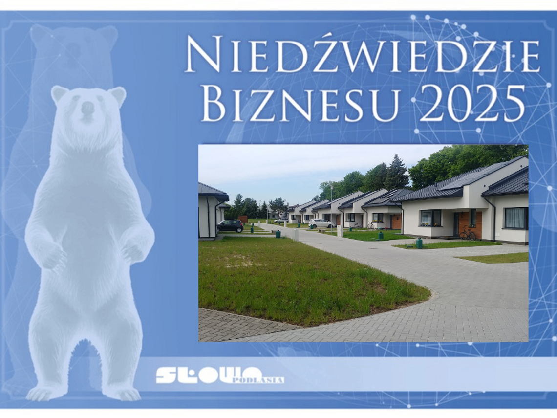 Niedźwiedzie Biznesu 2025, Gmina Sosnówka - Remont Urzędu Gminy [Kategoria: PRZYJAZNA GMINA]