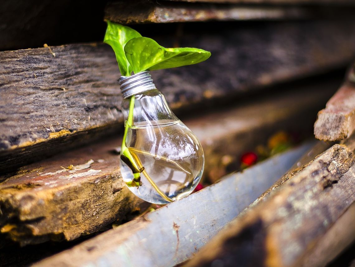 Nowy nadprzedmiot w szkole. Edukacja ekologiczna będzie obecna wszędzie