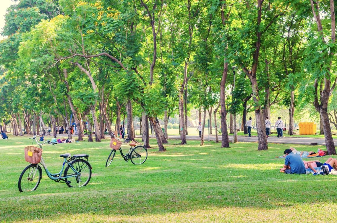 Park Miejski Września: Relaks i odpoczynek w zielonej oazie