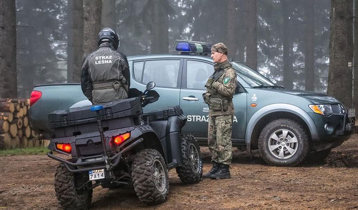 Patrole, kontrole, mandaty w lasach. Ruszyła akcja specjalna
