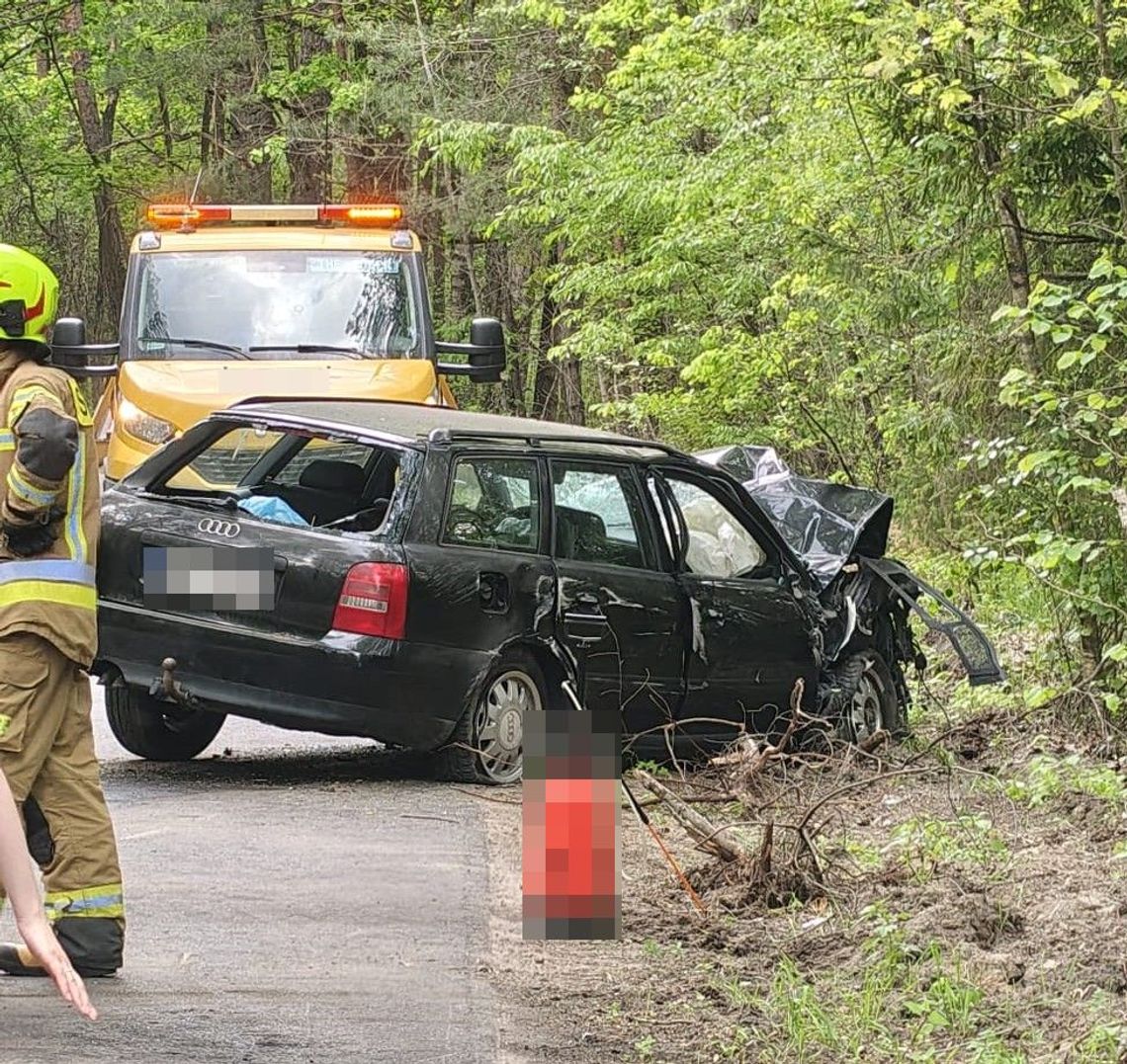 Pijany kierowca Audi uderzył w drzewo i uciekł z miejsca wypadku Pijany kierowca Audi uderzył w drzewo i uciekł z miejsca wypadku