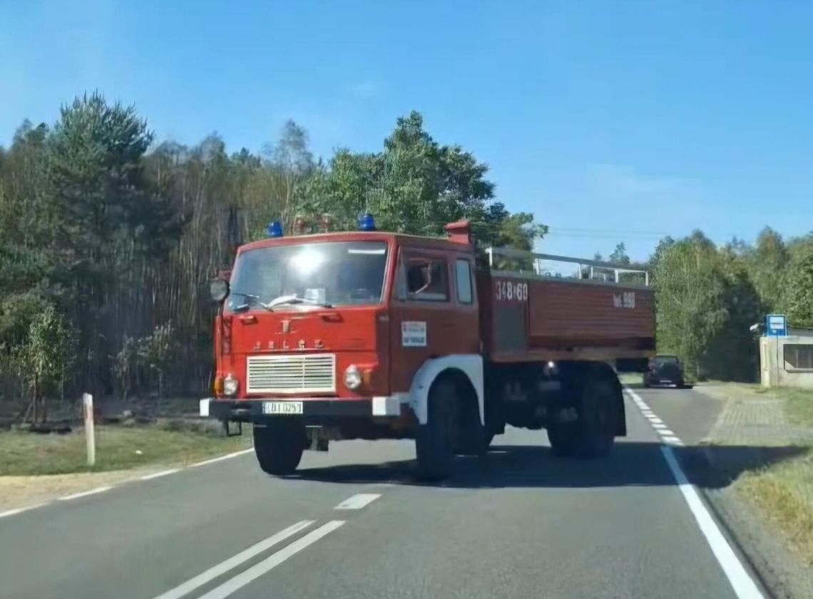 [PILNE] Pożar lasu. Trwa akcja gaśnicza. Wahadło na drodze wojewódzkiej 812 [FILM]