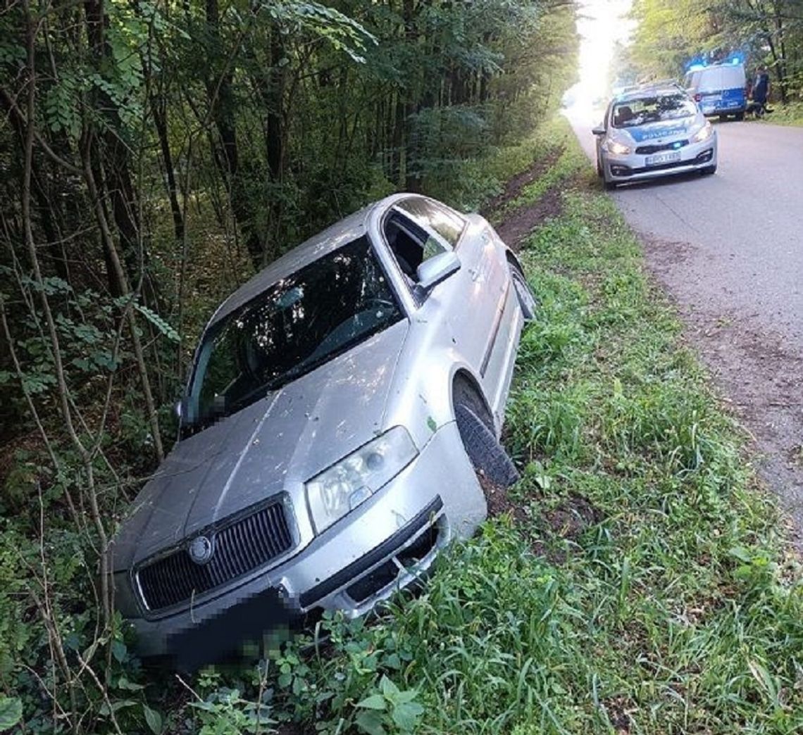 Po pijaku i bez uprawnień. W ustaleniu faktów pomógł pies