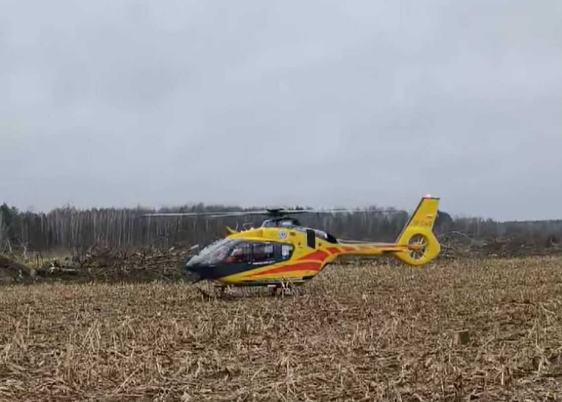Lubelskie. Podczas wycinki upadające drzewo uderzyło mężczyznę [FILM]