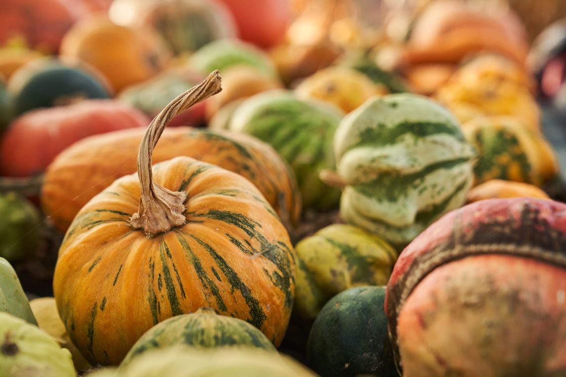 Pogoda na czwartek. Sprawdź, jaka będzie aura Pogoda na czwartek. Sprawdź, jaka będzie aura