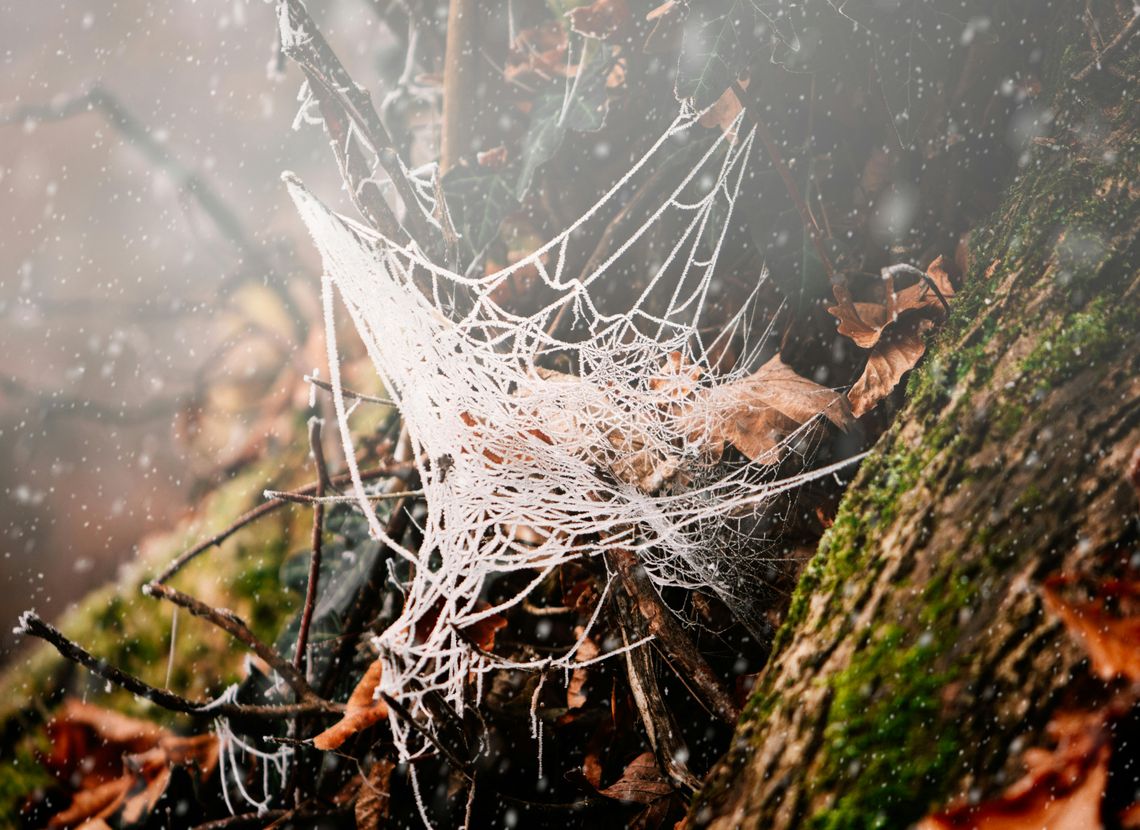 Pogoda na czwartek. Sprawdź, jaka będzie aura