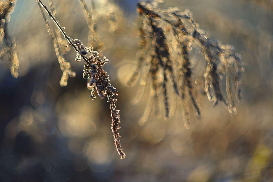 Pogoda na czwartek. Sprawdź, jaka będzie aura