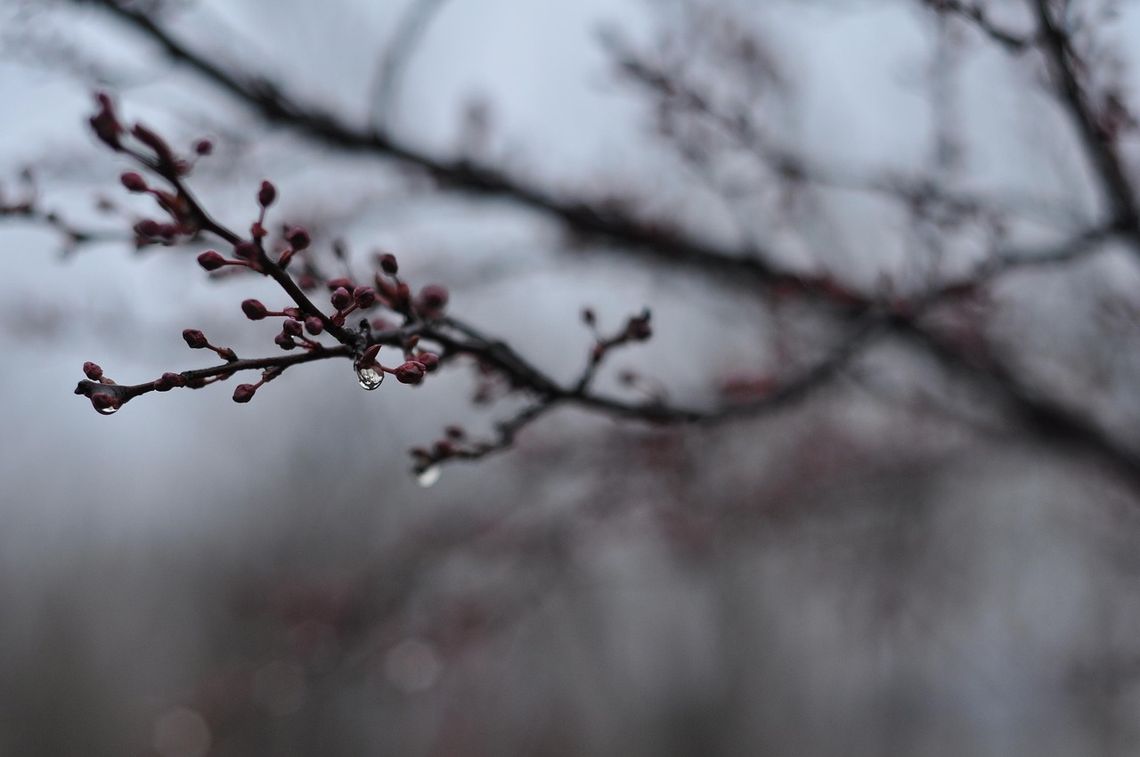 Pogoda na czwartek. Sprawdź, jaka będzie aura Pogoda na czwartek. Sprawdź, jaka będzie aura