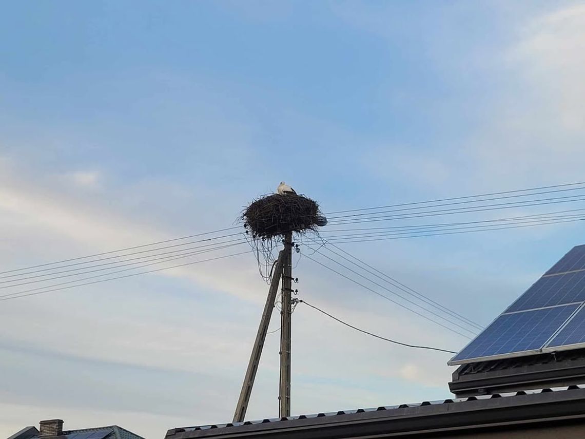 Pogoda na czwartek. Sprawdź, jaka będzie aura