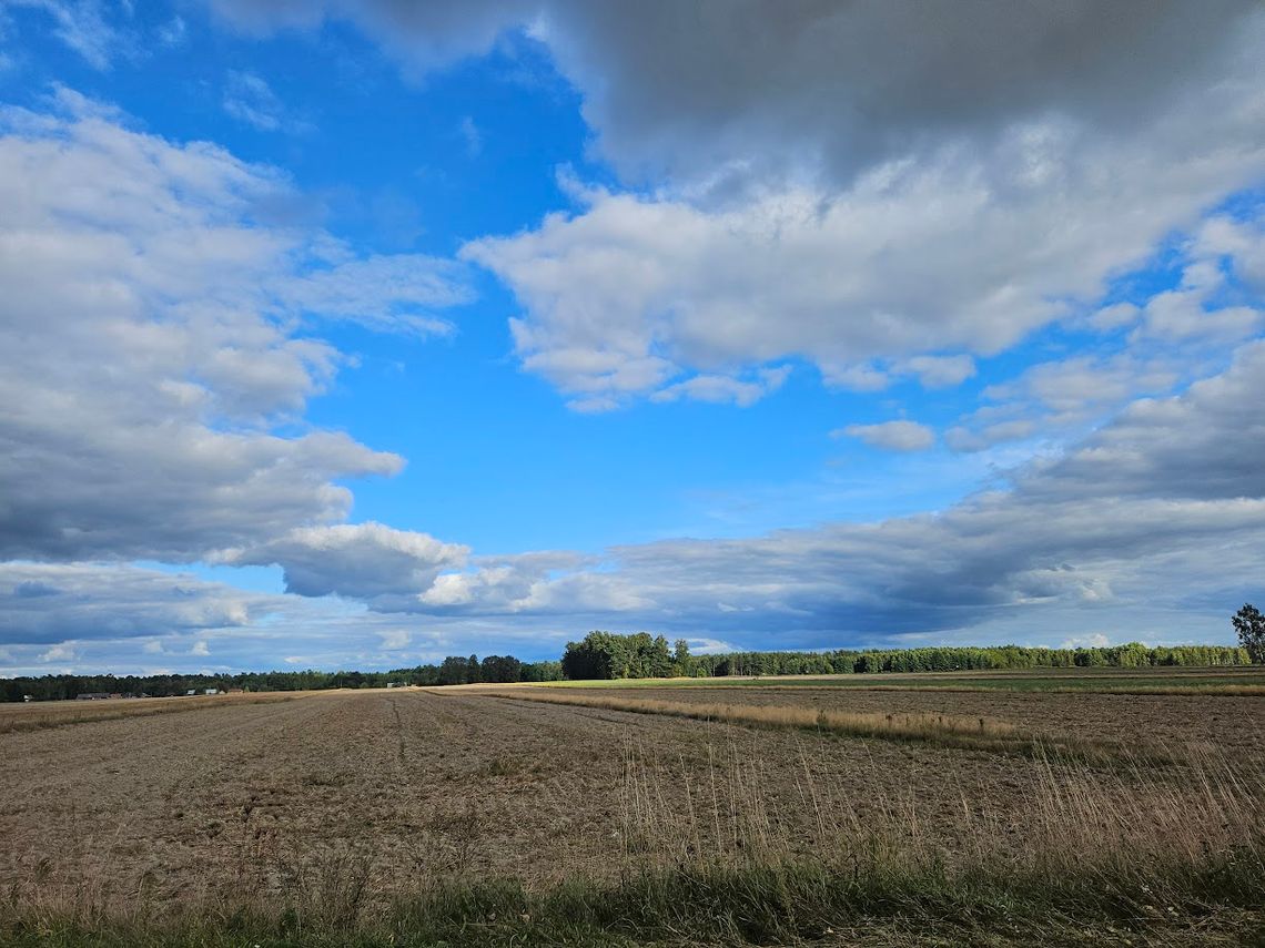 Pogoda na czwartek. Sprawdź, jaka będzie jutro aura