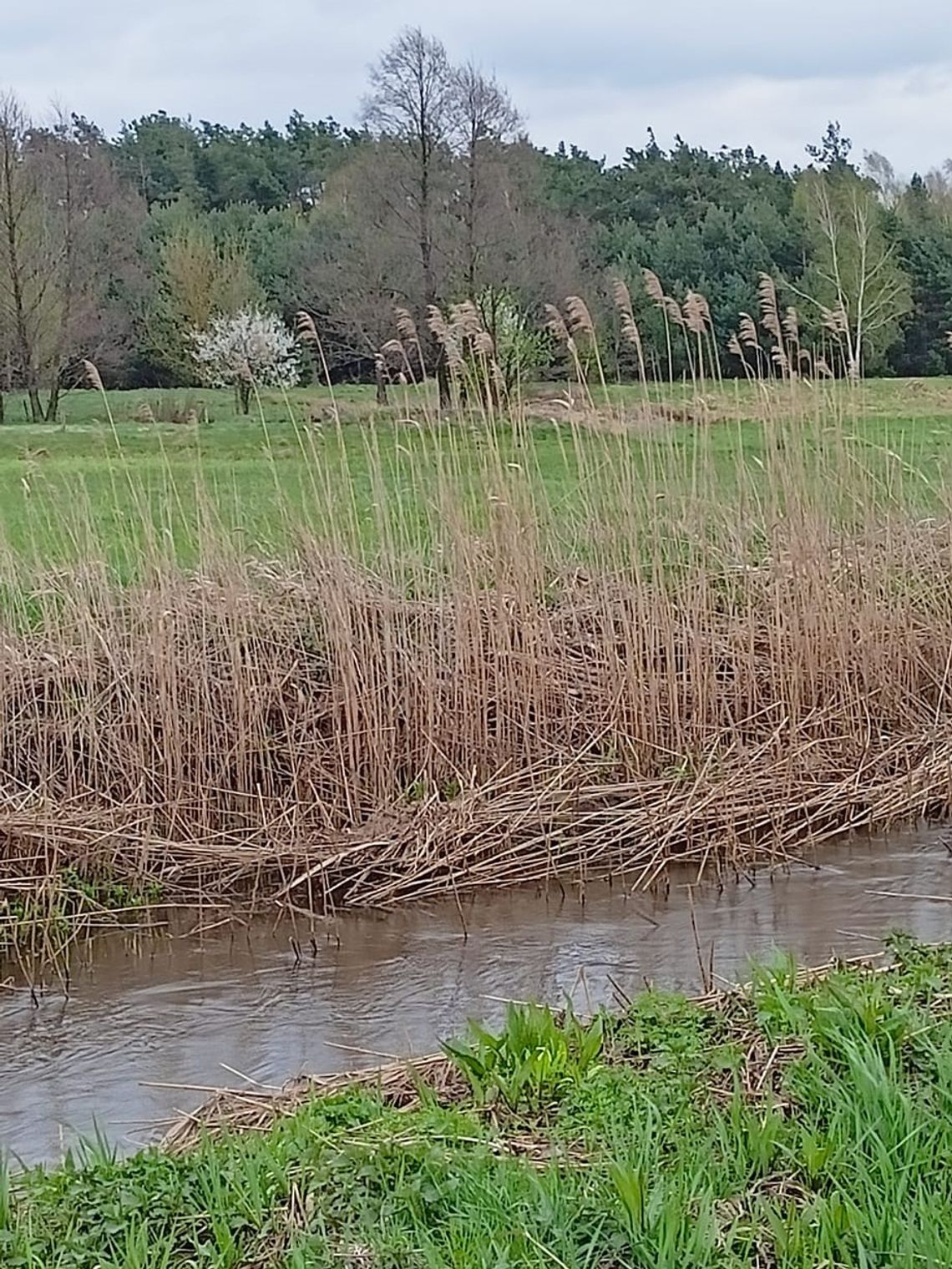 Pogoda na czwartek. Sprawdź, jaka będzie jutro aura