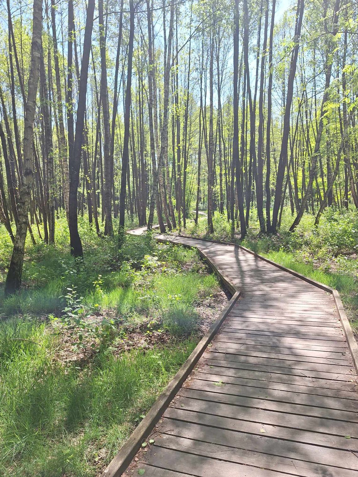 Pogoda na czwartek. Sprawdź, jaka będzie jutro aura