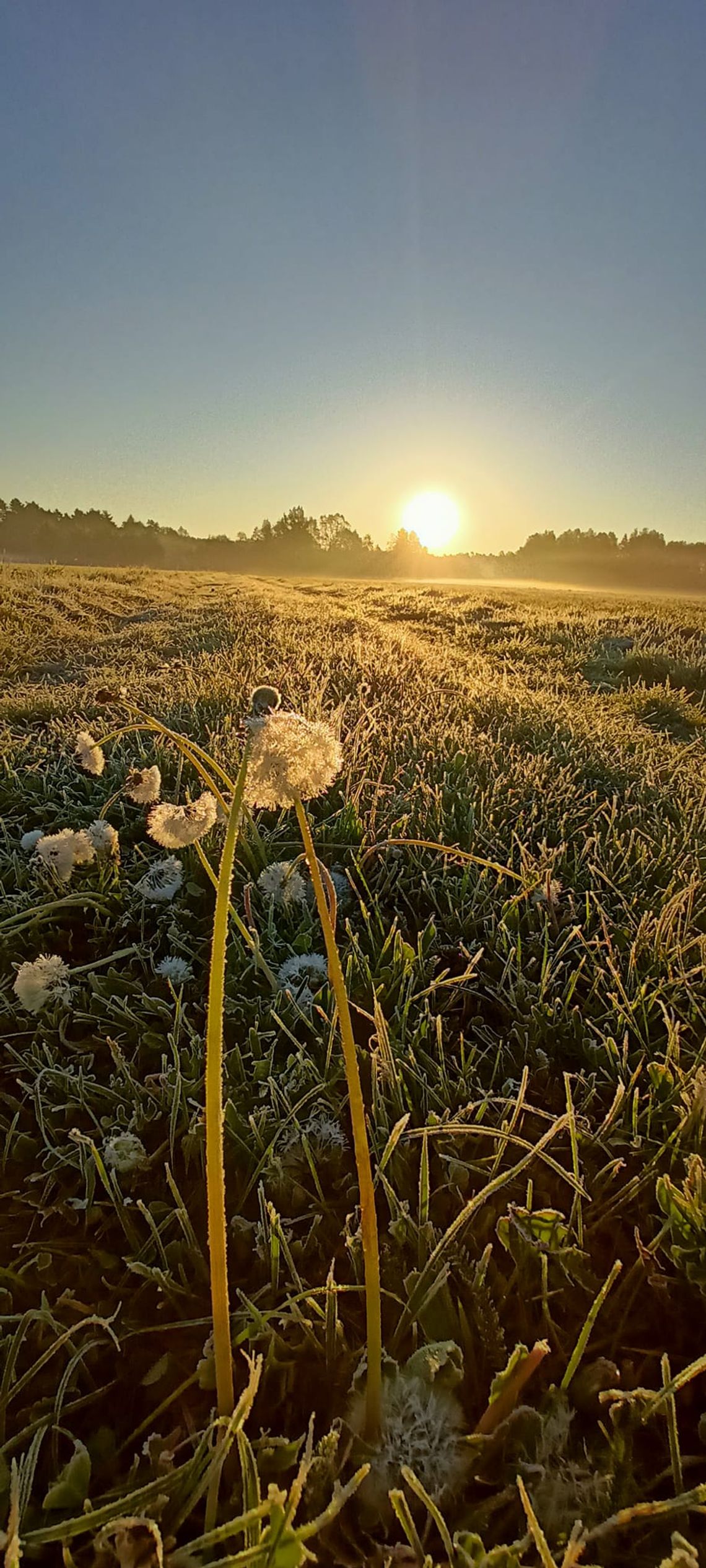 Pogoda na czwartek. Sprawdź, jaka będzie aura