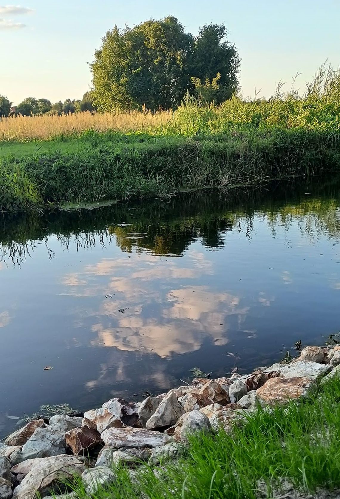 Pogoda na czwartek. Sprawdź, jaka będzie jutro aura