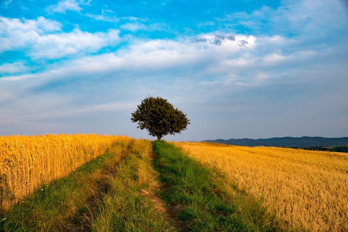 Pogoda na czwartek. Sprawdź, jaka czeka nas aura!