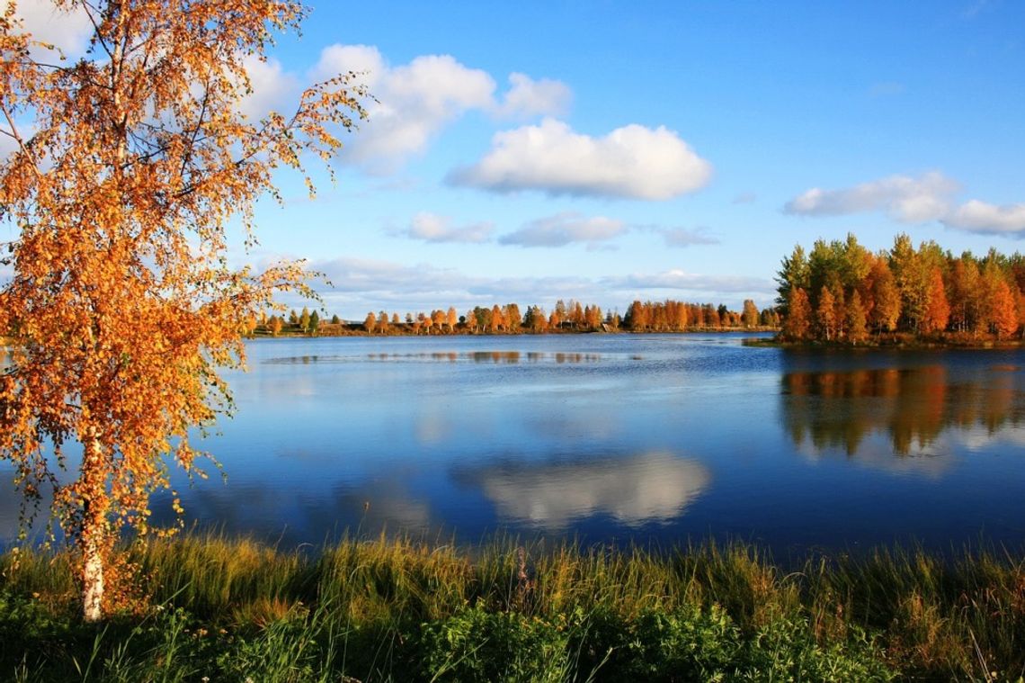 Pogoda na czwartek. Sprawdź, jaka czeka nas aura!