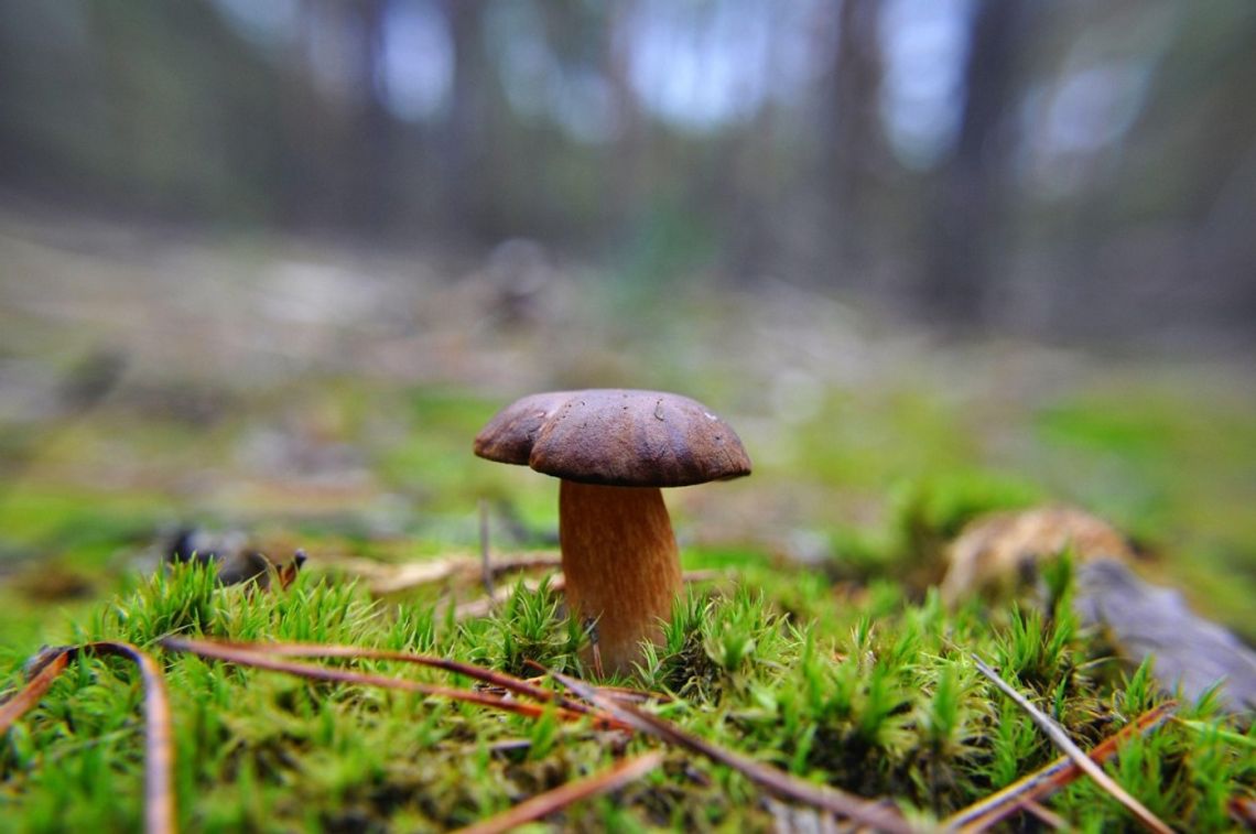 Jutro popada. Pogoda na piątek