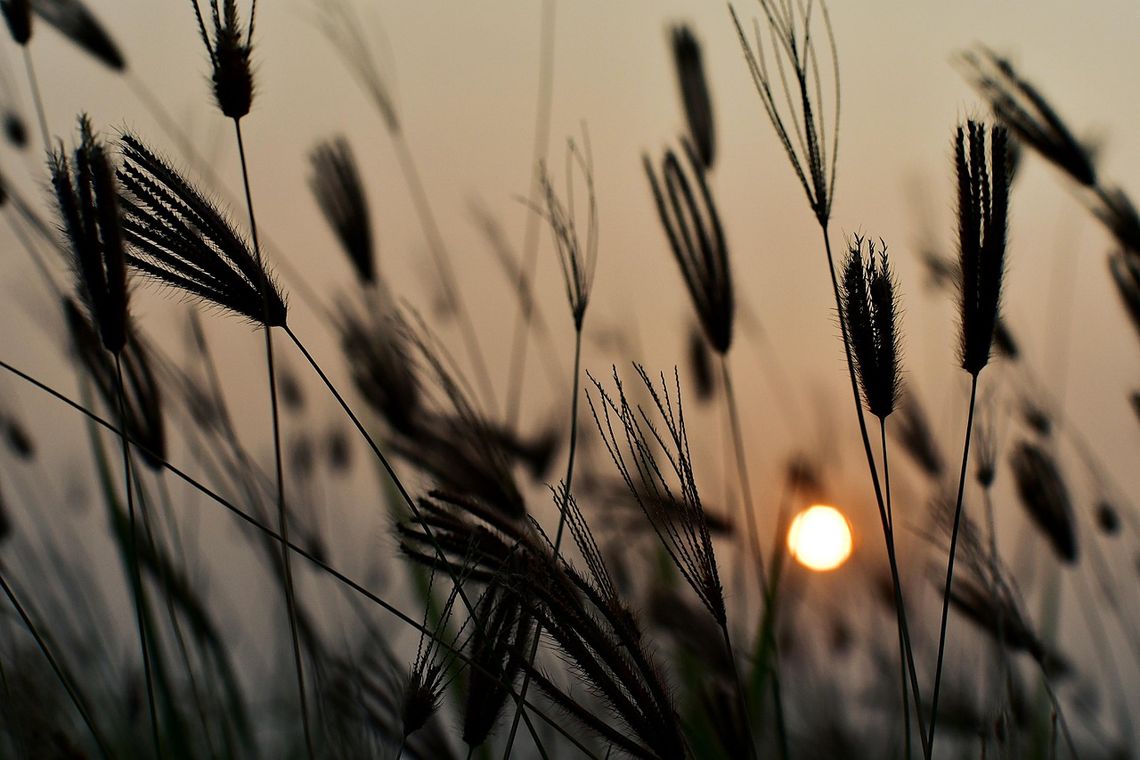 Pogoda na piątek. Najgorętszy dzień tygodnia