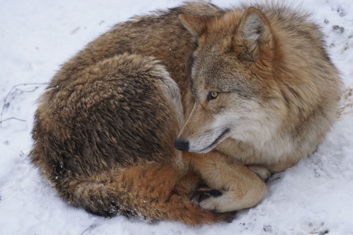 Pogoda na piątek. Sprawdź, jaka aura nas czeka