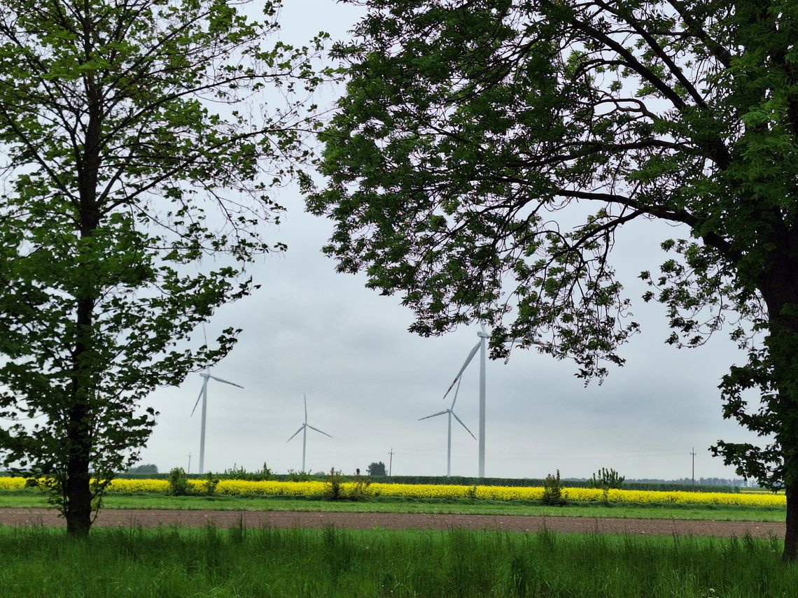 Prognoza pogody na piątek. Sprawdź, jaka aura nas czeka