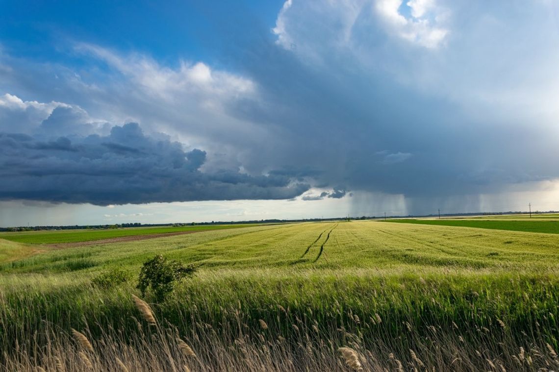 Pogoda na piątek. Sprawdź, jaka aura nas czeka