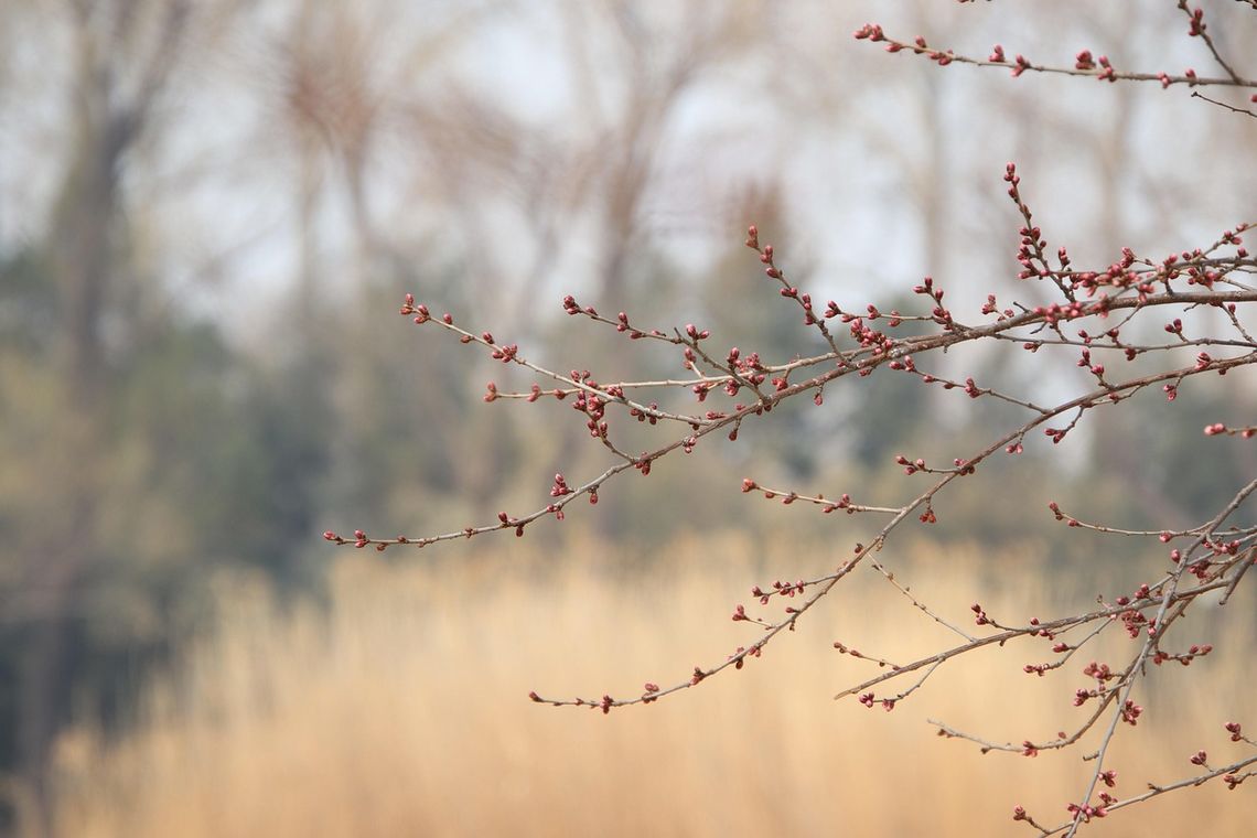 Pogoda na piątek. Sprawdź, jaka będzie aura