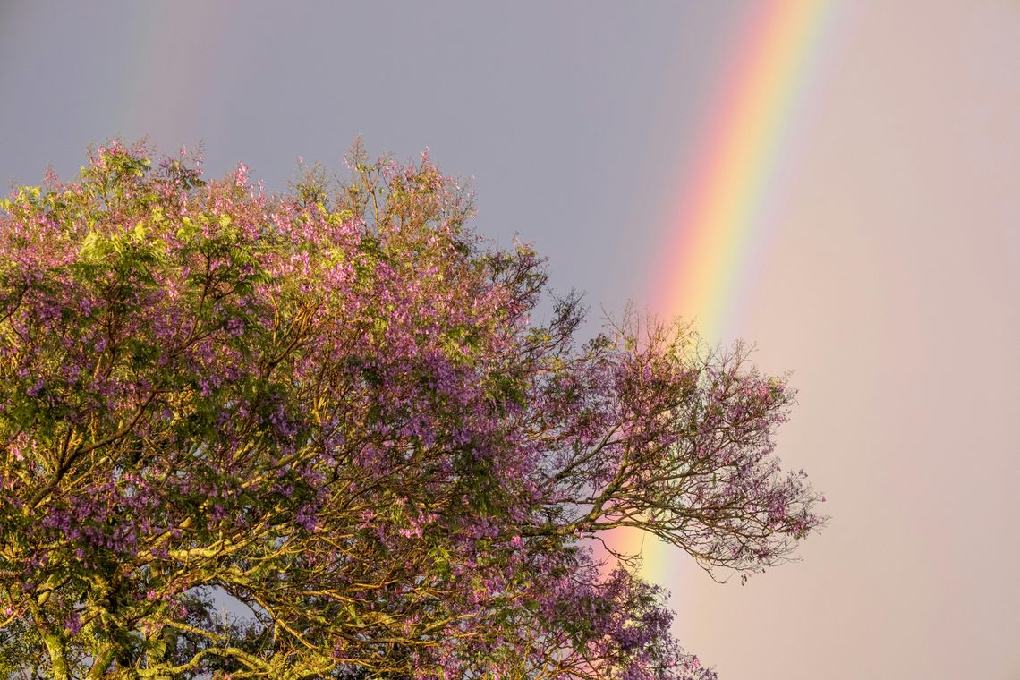 Pogoda na piątek. Sprawdź, jaka będzie aura