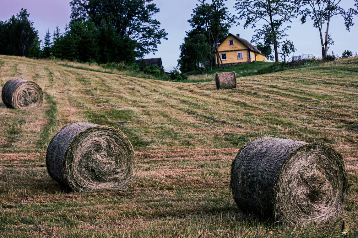 Pogoda na piątek. Sprawdź, jaka będzie aura