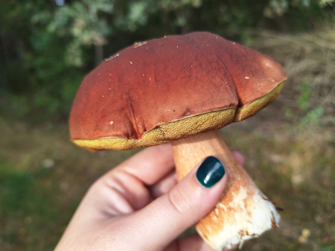 Pogoda na piątek. Sprawdź, jaka będzie jutro aura