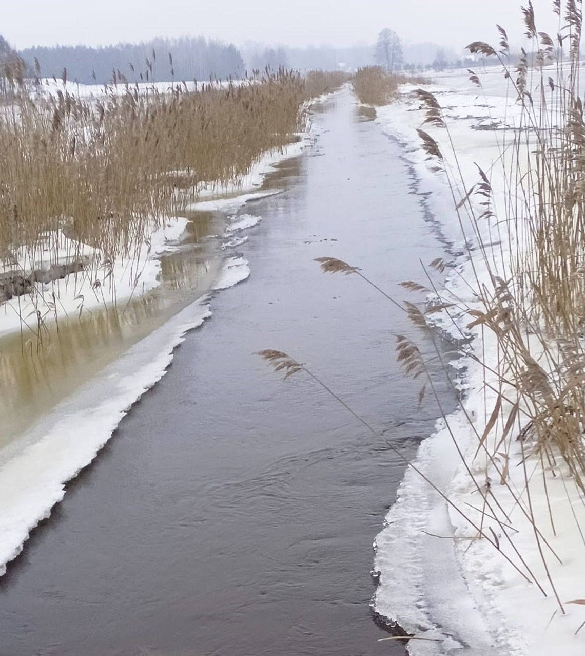 Pogoda na piątek. Sprawdź, jaka będzie jutro aura