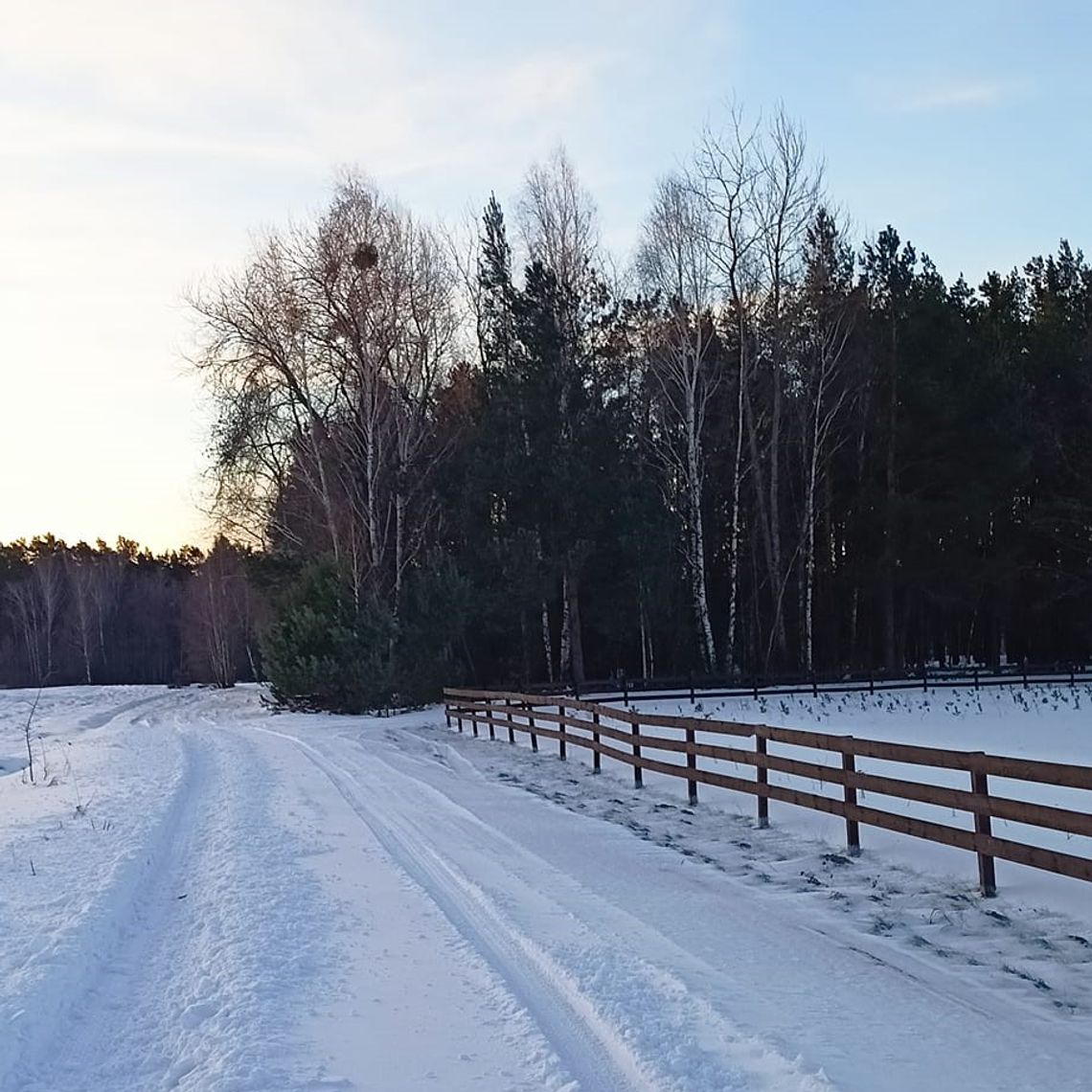 Pogoda na piątek. Sprawdź, jaka będzie jutro aura