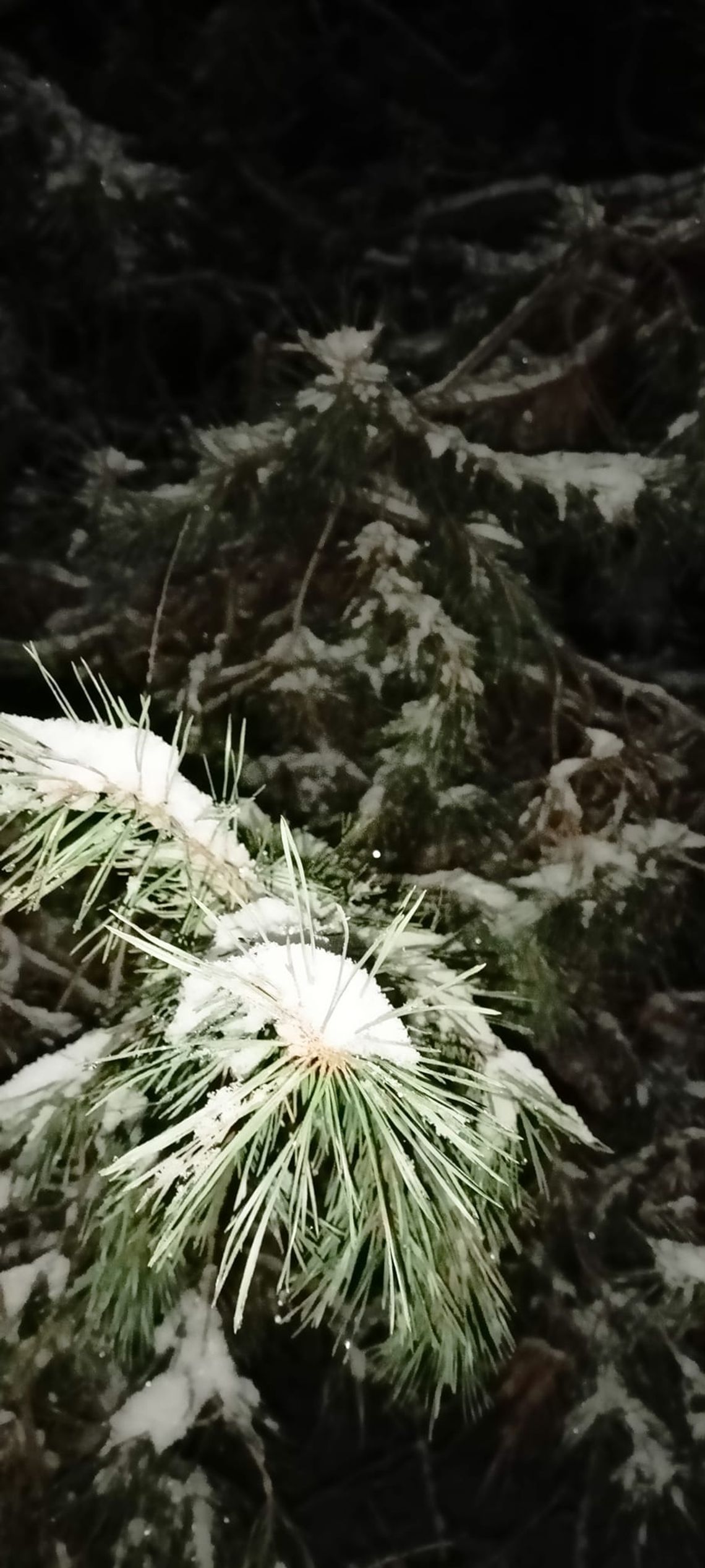 Pogoda na piątek. Sprawdź, jaka będzie jutro aura