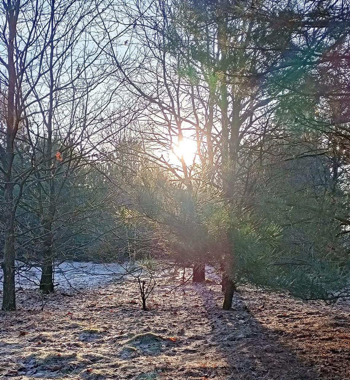 Pogoda na piątek. Sprawdź, jaka będzie aura